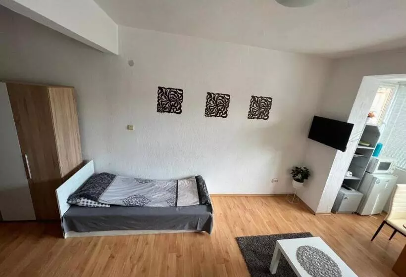 мини студио рози