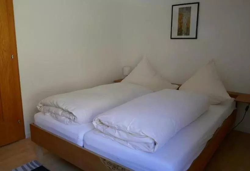 تختخواب و صبحانه Pension & Ferienwohnungen Haus Edelweiß