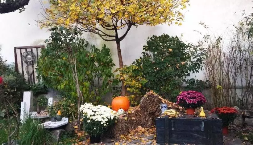 Casa Din Colțul Cetății