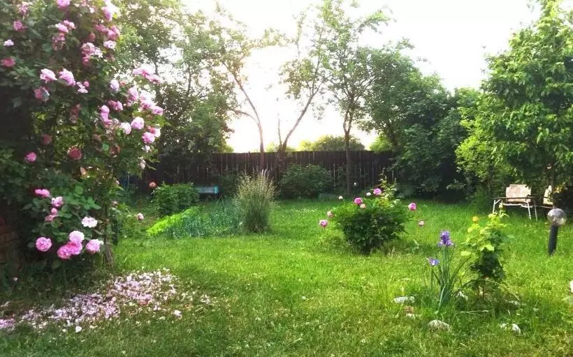 Casa Din Colțul Cetății