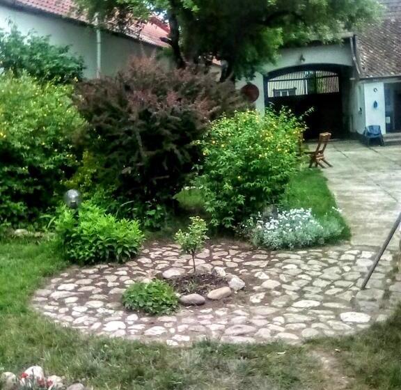 Casa Din Colțul Cetății