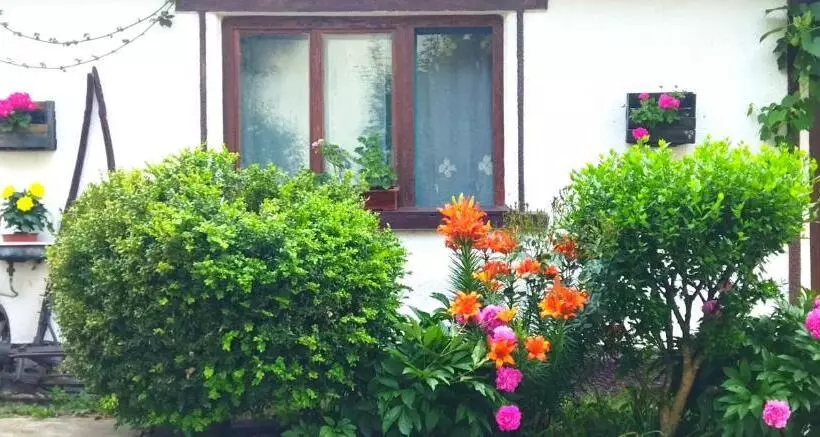 Casa Din Colțul Cetății