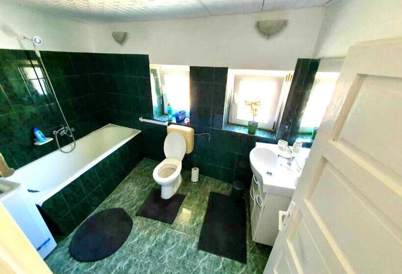 Casa Din Colțul Cetății