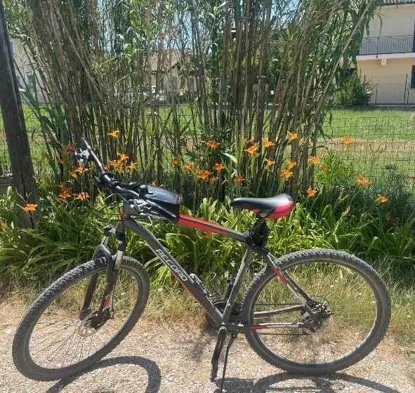 Cozy 55 M2 Flat Close To The Countryside In Narni