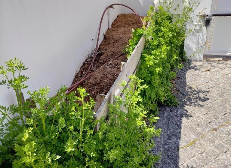 Crals Casa Da Guilheta