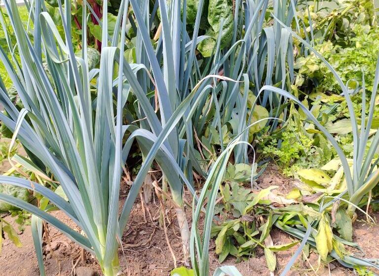 Crals Casa Da Guilheta