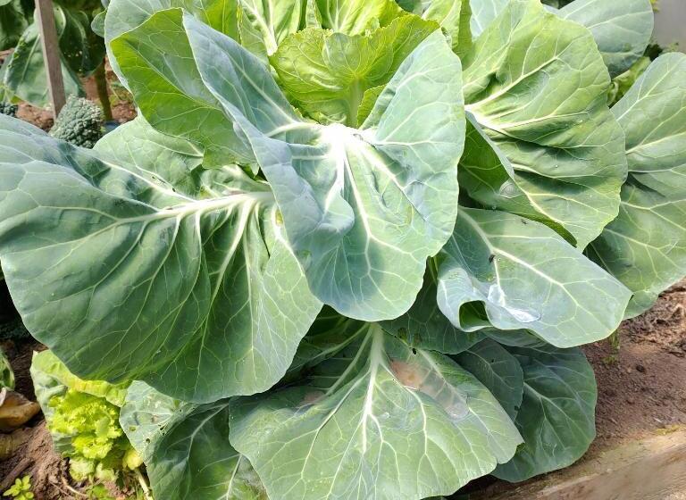 Crals Casa Da Guilheta