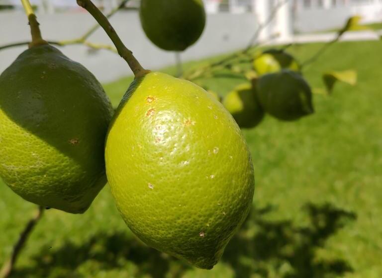 Crals Casa Da Guilheta