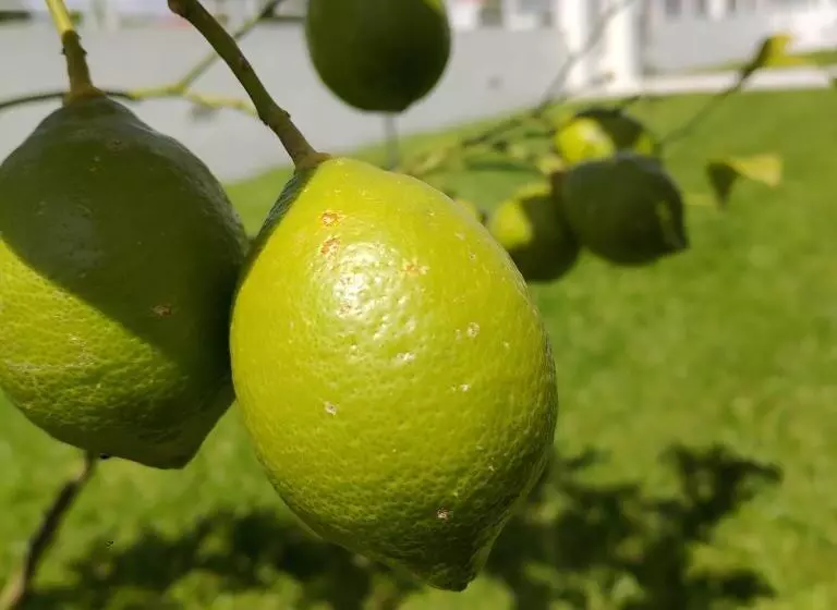 Crals   Casa Da Guilheta