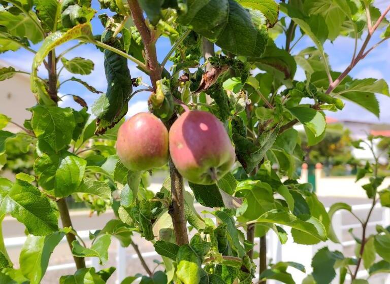 Crals Casa Da Guilheta