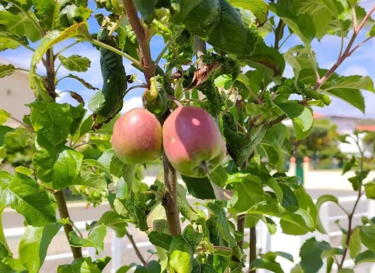 Crals   Casa Da Guilheta