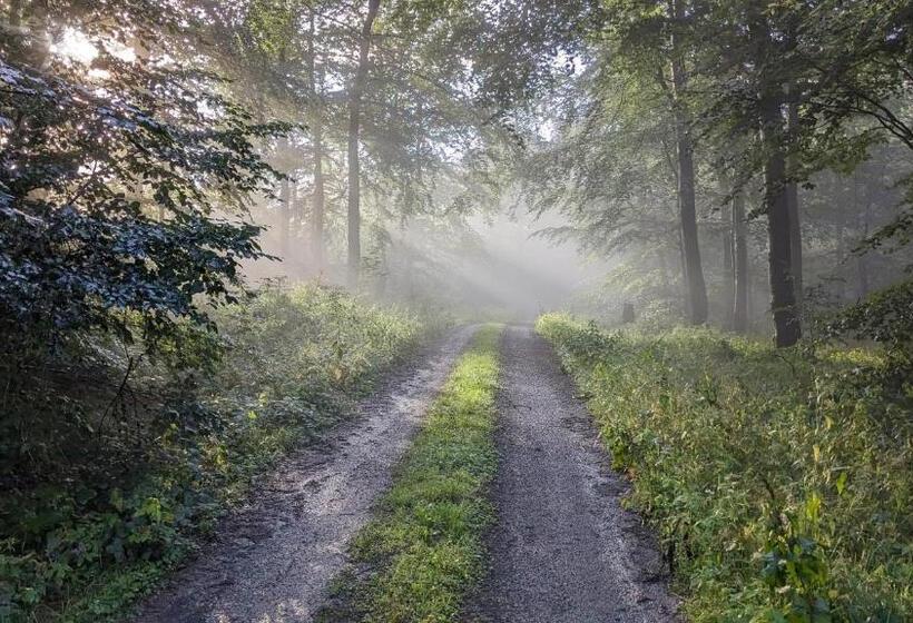 Ferienwohnung Rumbeck