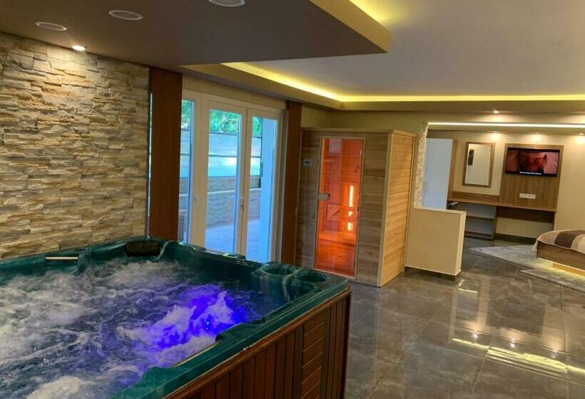 ペンション The Jakuzzi Room Miskolctapolca