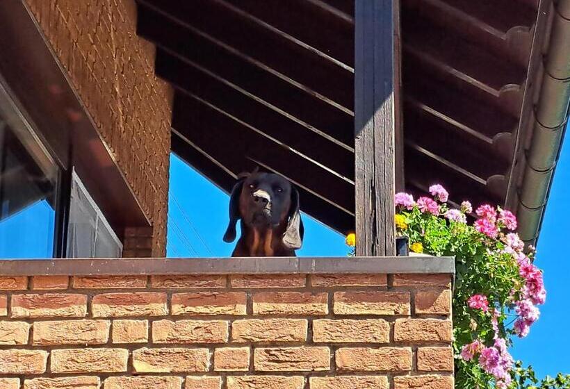 Wohnung Zum Wohlfühlen