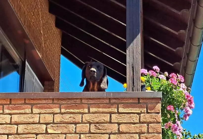 Wohnung Zum Wohlfühlen