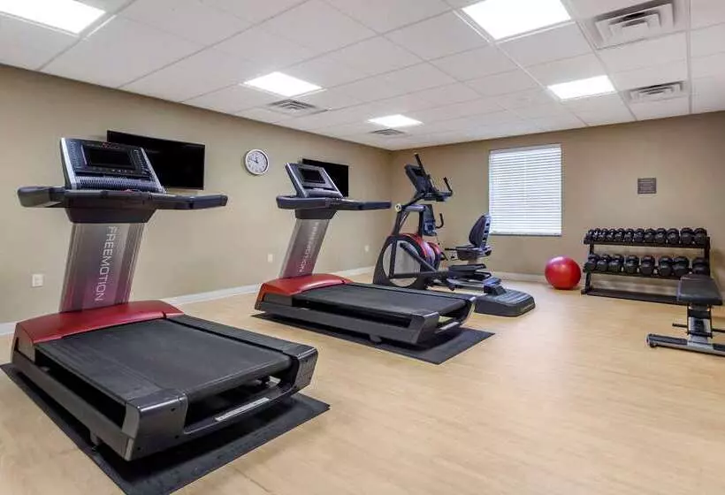ホテル Comfort Inn & Suites Avera Southwest