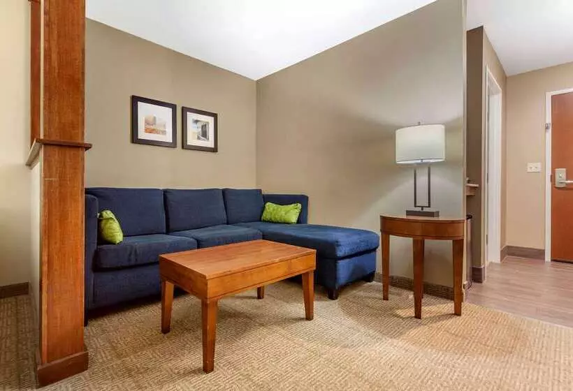 ホテル Comfort Inn & Suites Avera Southwest