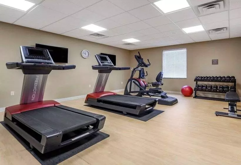 ホテル Comfort Inn & Suites Avera Southwest
