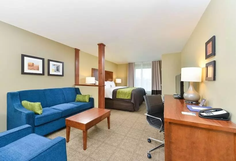 ホテル Comfort Inn & Suites Avera Southwest