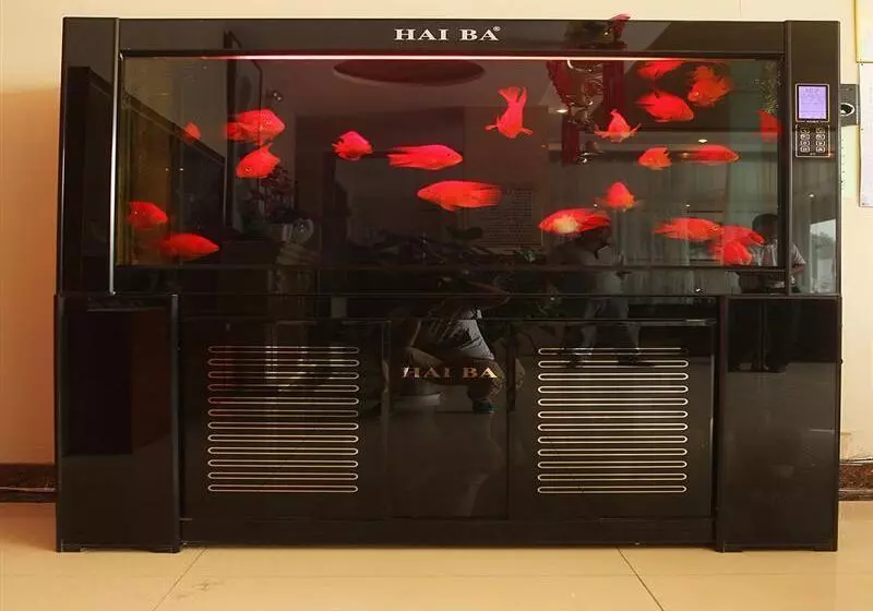 Hotel Greentree Inn Jinan Bus Terminal Station Express