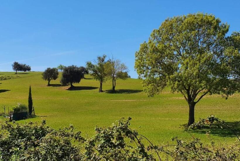 A Casa Di Marco Holiday Apartment
