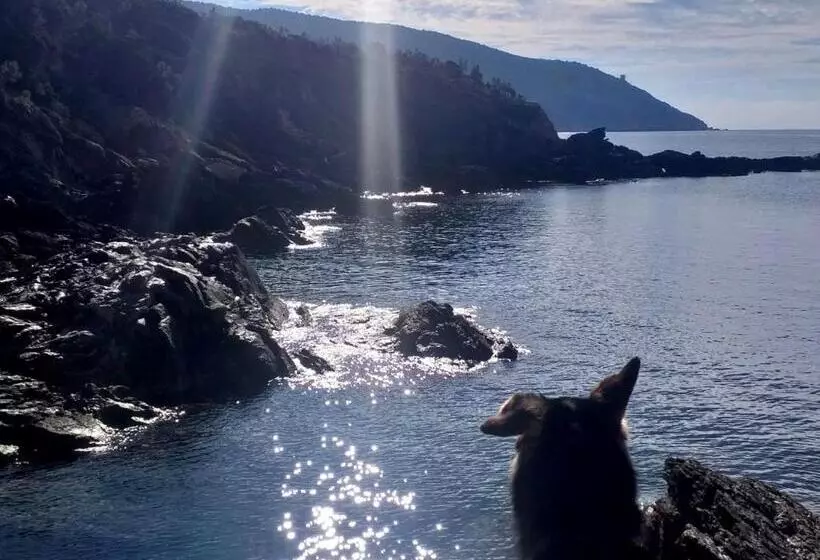 La Casa Di Marco, Holidays, Sea And Nature