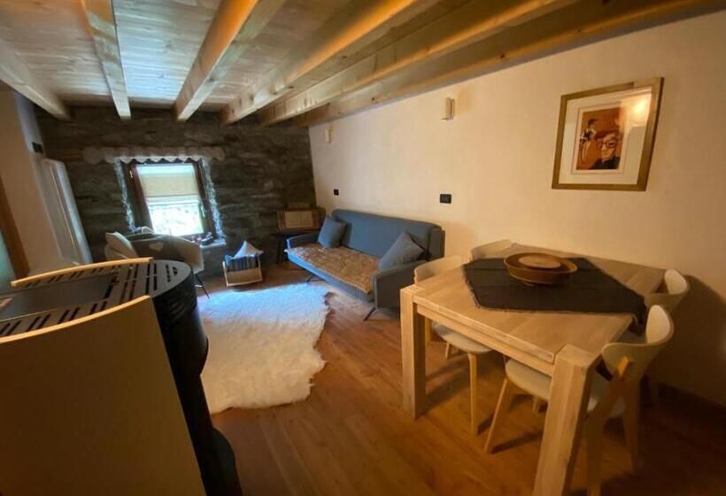 La Guida E L Architetto