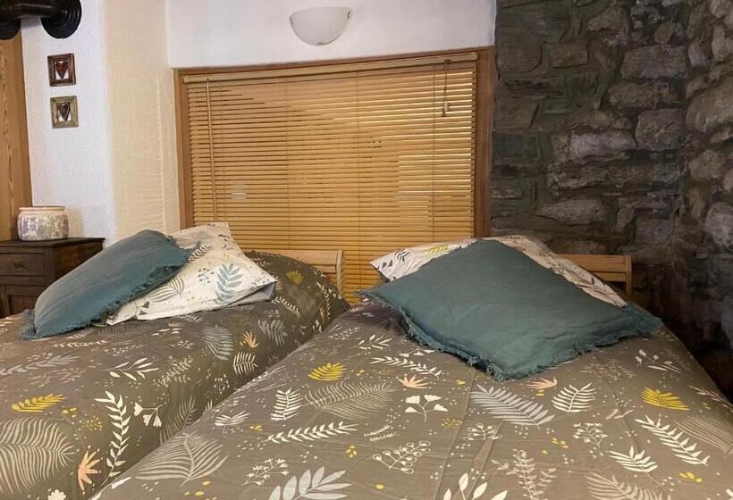 La Guida E L Architetto