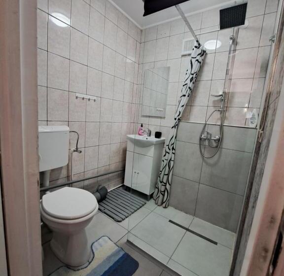 Apartament Un Dormitor și Living La Curte Corbu