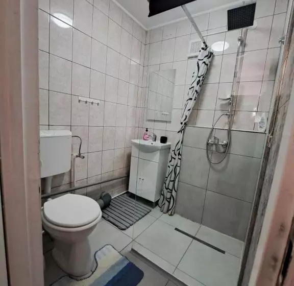 Apartament Un Dormitor și Living La Curte Corbu