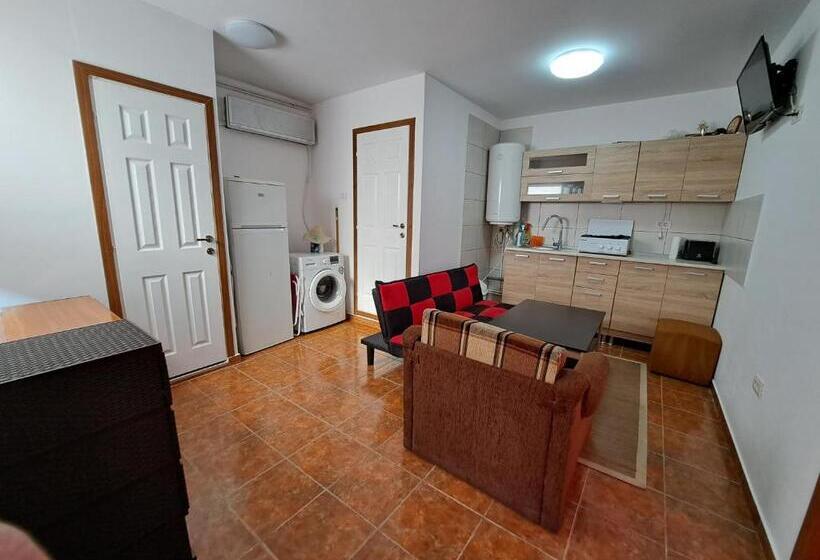 Apartament Un Dormitor și Living La Curte Corbu