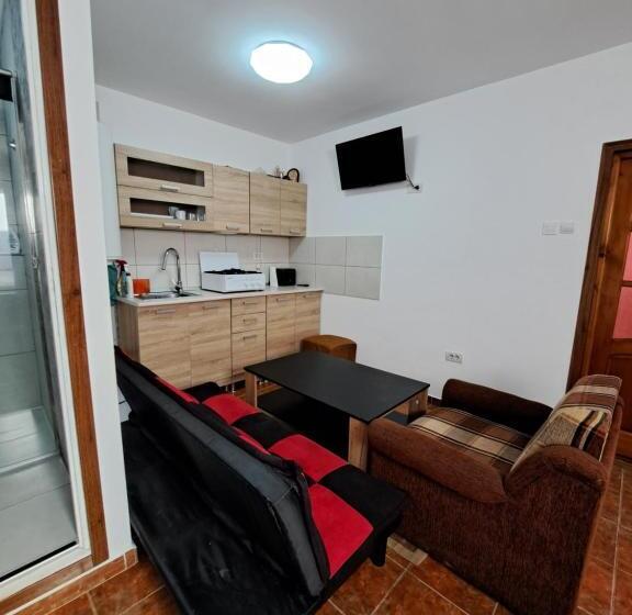Apartament Un Dormitor și Living La Curte Corbu
