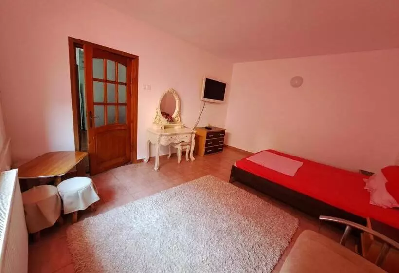 Apartament Un Dormitor și Living La Curte Corbu