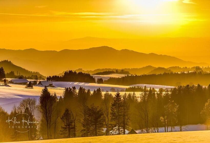 Ferienwohnung Auch Am Berg, Todtnauberg, Feldberg