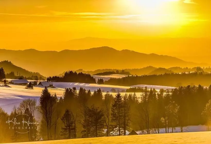 Ferienwohnung Auch Am Berg, Todtnauberg, Feldberg
