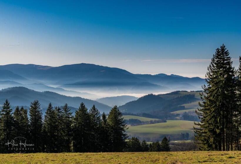 Ferienwohnung Auch Am Berg, Todtnauberg, Feldberg
