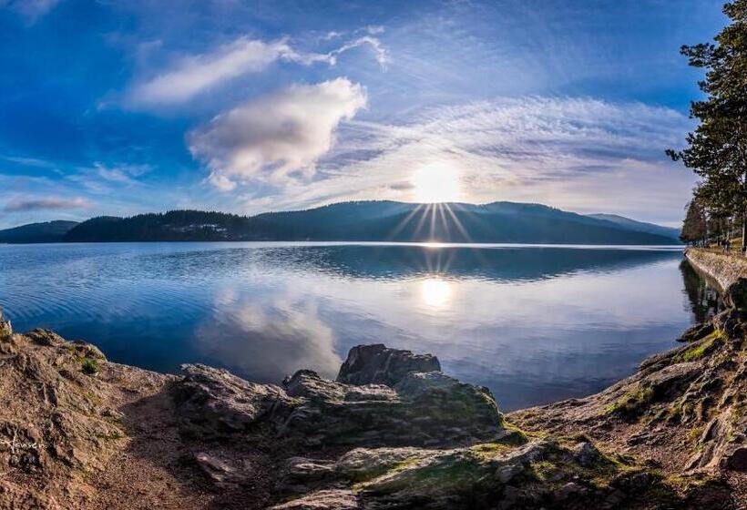 Ferienwohnung Auch Am Berg, Todtnauberg, Feldberg