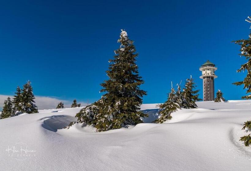 Ferienwohnung Auch Am Berg, Todtnauberg, Feldberg