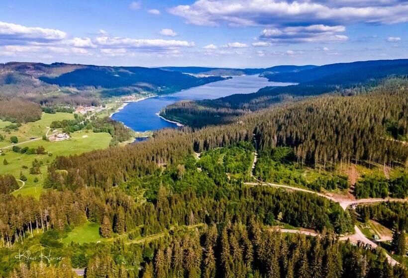 Ferienwohnung Auch Am Berg, Todtnauberg, Feldberg