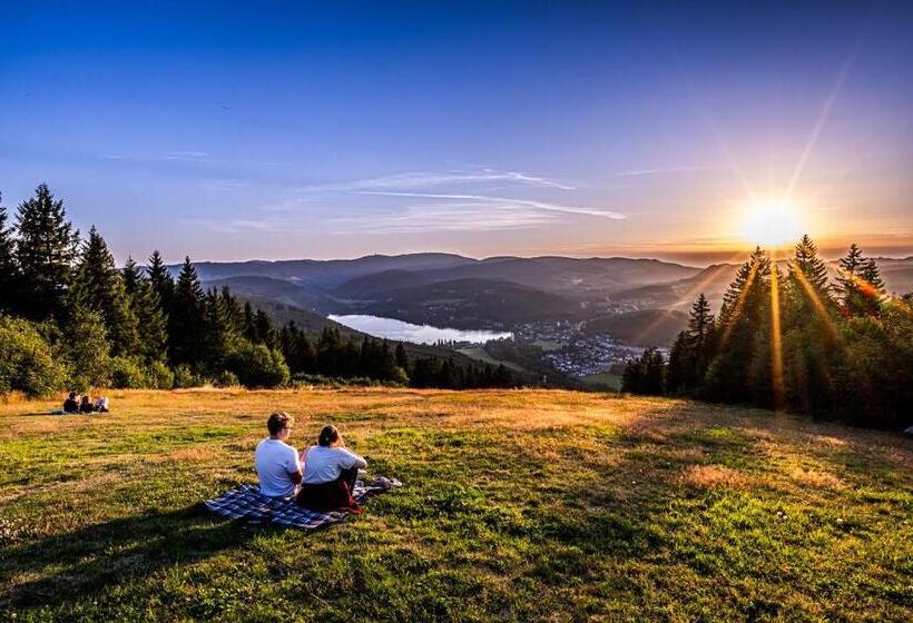 Ferienwohnung Auch Am Berg, Todtnauberg, Feldberg