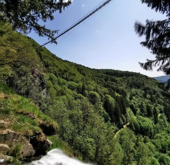 Ferienwohnung Auch Am Berg, Todtnauberg, Feldberg