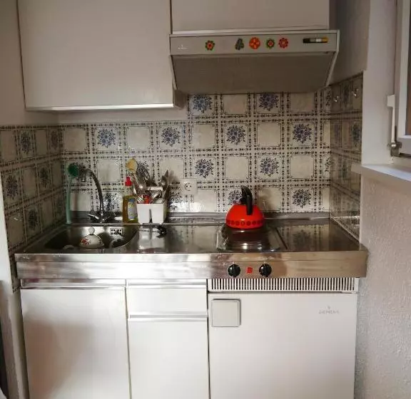Ferienwohnung Auch Am Berg, Todtnauberg, Feldberg