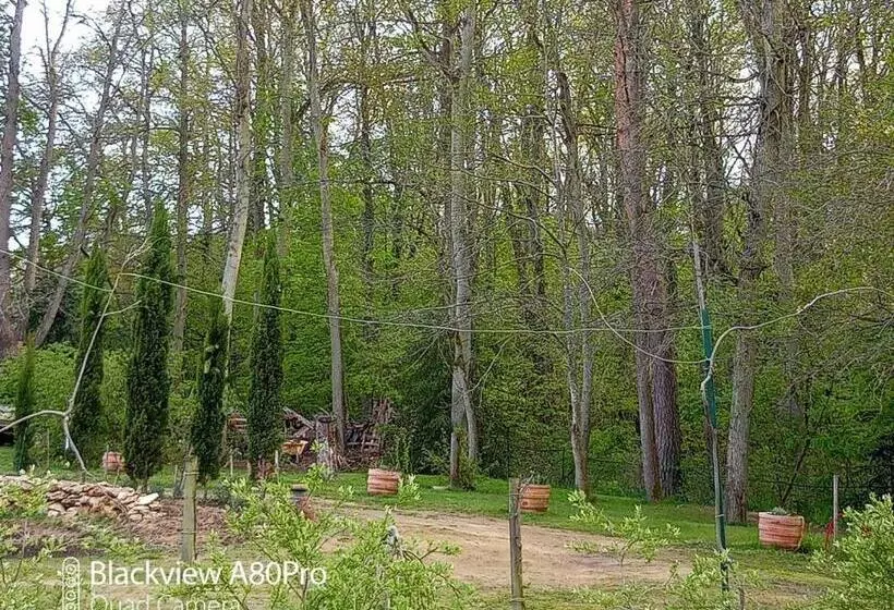 La Sablonnière De Rochefort
