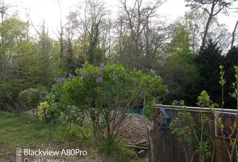 La Sablonnière De Rochefort