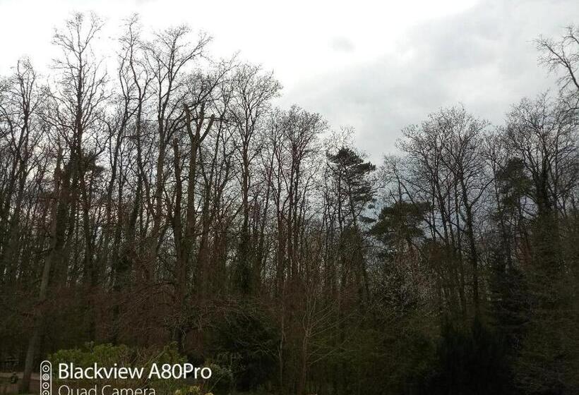 La Sablonnière De Rochefort