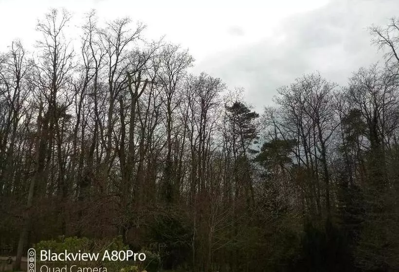 La Sablonnière De Rochefort