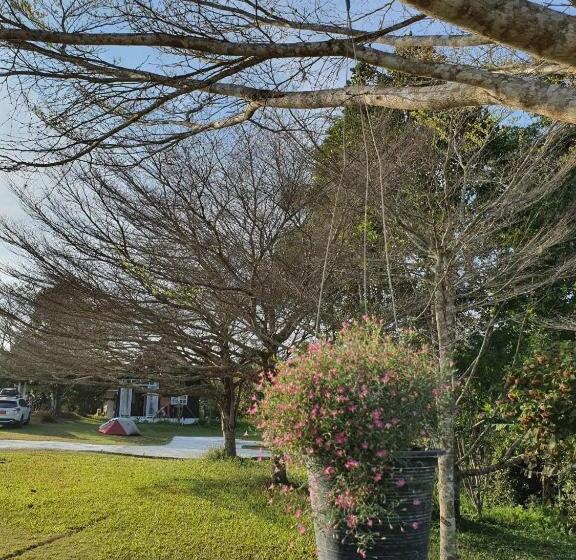 Pensão ไอหมอก ชาเล่ต์