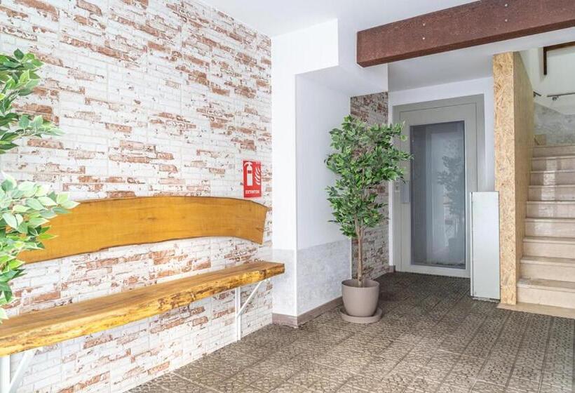 Pension H30 Salces Licencia Hbi01292