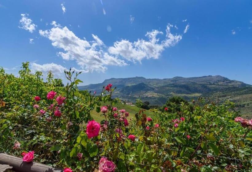 Villa Paqui Villanueva De La Concepción By Ruralidays