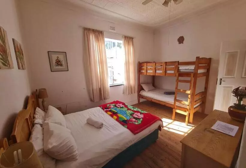 هاستل Melville House
